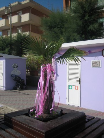 Spiaggia 033